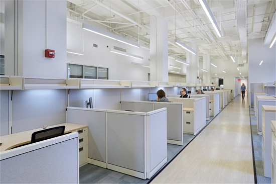 Safe Horizon Offices Interior