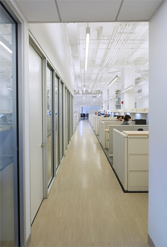 Safe Horizon Offices Interior